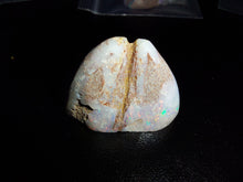 Load image into Gallery viewer, Opalised Clam Fossil 40.1ct - Limanty