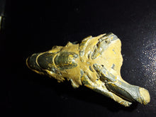 Load image into Gallery viewer, Mangrove Lobster Fossil - Limanty