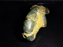 Load image into Gallery viewer, Mangrove Lobster Fossil - Limanty