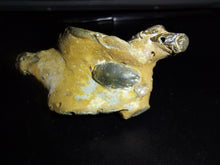 Load image into Gallery viewer, Mangrove Lobster Fossil - Limanty