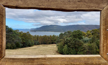 Load image into Gallery viewer, 776g/3880ct Tasmanian Cluster Salwater Fossils 100% Natural Australia Hyper Rare