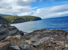 Load image into Gallery viewer, 776g/3880ct Tasmanian Cluster Salwater Fossils 100% Natural Australia Hyper Rare