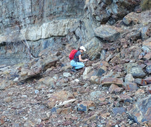 Load image into Gallery viewer, 776g/3880ct Tasmanian Cluster Salwater Fossils 100% Natural Australia Hyper Rare