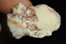 Load image into Gallery viewer, Prehistoric Australian Marsupial Skull Fossilized in Opal - A Lightning Ridge Jurassic Era