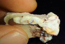 Load image into Gallery viewer, Prehistoric Australian Marsupial Skull Fossilized in Opal - A Lightning Ridge Jurassic Era