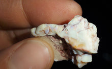 Load image into Gallery viewer, Prehistoric Australian Marsupial Skull Fossilized in Opal - A Lightning Ridge Jurassic Era