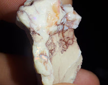 Load image into Gallery viewer, Prehistoric Australian Marsupial Skull Fossilized in Opal - A Lightning Ridge Jurassic Era