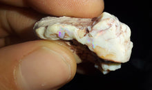 Load image into Gallery viewer, Prehistoric Australian Marsupial Skull Fossilized in Opal - A Lightning Ridge Jurassic Era