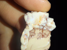 Load image into Gallery viewer, Prehistoric Australian Marsupial Skull Fossilized in Opal - A Lightning Ridge Jurassic Era