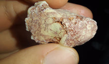 Load image into Gallery viewer, Prehistoric Australian Marsupial Skull Fossilized in Opal - A Lightning Ridge Jurassic Era