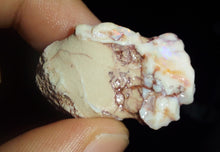 Load image into Gallery viewer, Prehistoric Australian Marsupial Skull Fossilized in Opal - A Lightning Ridge Jurassic Era
