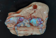 Load image into Gallery viewer, 50.10ct Natural Dog Shaped Opalised Fossil Crinoid Ultra Rare collectable