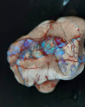 Load image into Gallery viewer, 50.10ct Natural Dog Shaped Opalised Fossil Crinoid Ultra Rare collectable