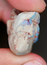 Load image into Gallery viewer, 50.10ct Natural Dog Shaped Opalised Fossil Crinoid Ultra Rare collectable
