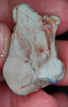 Load image into Gallery viewer, 50.10ct Natural Dog Shaped Opalised Fossil Crinoid Ultra Rare collectable