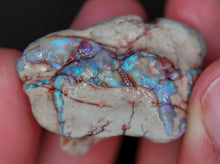 Load image into Gallery viewer, 50.10ct Natural Dog Shaped Opalised Fossil Crinoid Ultra Rare collectable