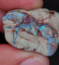 Load image into Gallery viewer, 50.10ct Natural Dog Shaped Opalised Fossil Crinoid Ultra Rare collectable