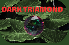 Load image into Gallery viewer, Triamond - Reforesting Timor-Leste - Limanty