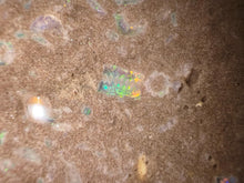 Load image into Gallery viewer, Zooplankton Opalised Fossil Tablet Cluster Multiple Organisms MultiColor 665g Top