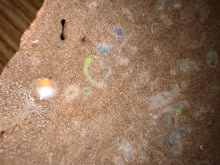 Load image into Gallery viewer, Zooplankton Opalised Fossil Tablet Cluster Multiple Organisms MultiColor 665g Top