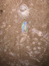 Load image into Gallery viewer, Zooplankton Opalised Fossil Tablet Cluster Multiple Organisms MultiColor 665g Top