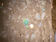 Load image into Gallery viewer, Zooplankton Opalised Fossil Tablet Cluster Multiple Organisms MultiColor 639g Top