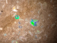 Load image into Gallery viewer, Zooplankton Opalised Fossil Tablet Cluster Multiple Organisms MultiColor 665g Top