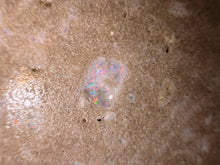 Load image into Gallery viewer, Zooplankton Opalised Fossil Tablet Cluster Multiple Organisms MultiColor 665g Top