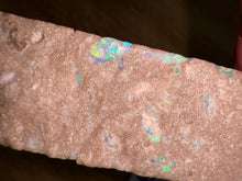 Load image into Gallery viewer, Zooplankton Opalised Fossil Tablet Cluster Multiple Organisms MultiColor 639g Top
