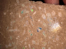 Load image into Gallery viewer, Zooplankton Opalised Fossil Tablet Cluster Multiple Organisms MultiColor 639g Top