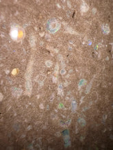 Load image into Gallery viewer, Zooplankton Opalised Fossil Tablet Cluster Multiple Organisms MultiColor 665g Top