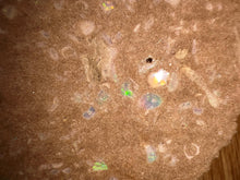 Load image into Gallery viewer, Zooplankton Opalised Fossil Tablet Cluster Multiple Organisms MultiColor 639g Top