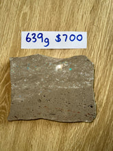 Load image into Gallery viewer, Zooplankton Opalised Fossil Tablet Cluster Multiple Organisms MultiColor 639g Top