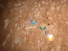 Load image into Gallery viewer, Zooplankton Opalised Fossil Tablet Cluster Multiple Organisms MultiColor 639g Top