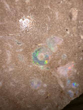 Load image into Gallery viewer, Zooplankton Opalised Fossil Tablet Cluster Multiple Organisms MultiColor 665g Top