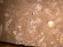 Load image into Gallery viewer, Zooplankton Opalised Fossil Tablet Cluster Multiple Organisms MultiColor 639g Top