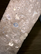 Load image into Gallery viewer, Zooplankton Opalised Fossil Tablet Cluster Multiple Organisms MultiColor 665g Top