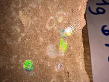 Load image into Gallery viewer, Zooplankton Opalised Fossil Tablet Cluster Multiple Organisms MultiColor 639g Top