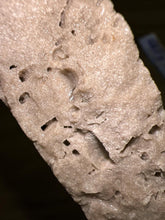 Load image into Gallery viewer, Zooplankton Opalised Fossil Tablet Cluster Multiple Organisms MultiColor 665g Top