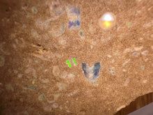 Load image into Gallery viewer, Zooplankton Opalised Fossil Tablet Cluster Multiple Organisms MultiColor 639g Top