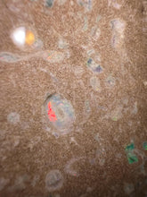 Load image into Gallery viewer, Zooplankton Opalised Fossil Tablet Cluster Multiple Organisms MultiColor 665g Top