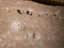 Load image into Gallery viewer, Zooplankton Opalised Fossil Tablet Cluster Multiple Organisms MultiColor 665g Top