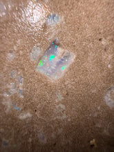 Load image into Gallery viewer, Zooplankton Opalised Fossil Tablet Cluster Multiple Organisms MultiColor 665g Top