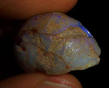 Load image into Gallery viewer, Opalised Saltwater Sea Snail Fossil Opal 27.4ct Shellfish Gastropoda 100%Natural
