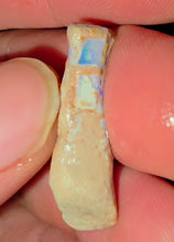 Load image into Gallery viewer, 6.91ct Crinoid Coober Pedy