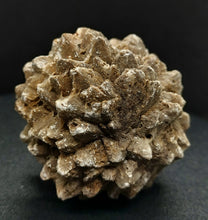 Load image into Gallery viewer, Whitw Cliff Pineapple Opal Potch Fossil no Color Ultra rare - Limanty