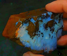 Load image into Gallery viewer, Huge Boulder Opal 241g/1205ct Strong Ocean Vivid Blue Quilpie - Australia Natural - Limanty