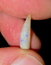 Load image into Gallery viewer, Opalised Australian Plesiosaur Fossil Tooth Coober Pedy