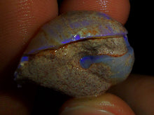 Load image into Gallery viewer, Opalised Saltwater Sea Snail Fossil Opal 27.4ct Shellfish Gastropoda 100%Natural