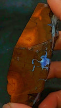 Load image into Gallery viewer, Huge Boulder Opal 241g/1205ct Strong Ocean Vivid Blue Quilpie - Australia Natural - Limanty